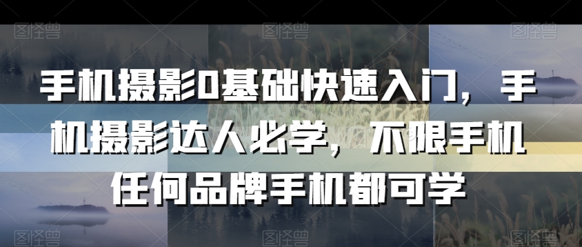 手机摄影0基础快速入门，手机摄影达人必学，不限手机任何品牌手机都可学-网创资源社