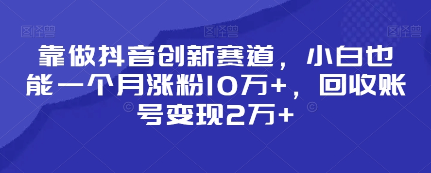 靠做抖音创新赛道，小白也能一个月涨粉10万+，回收账号变现2万+【揭秘】-网创资源社