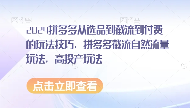 2024拼多多从选品到截流到付费的玩法技巧，拼多多截流自然流量玩法，高投产玩法-网创资源社