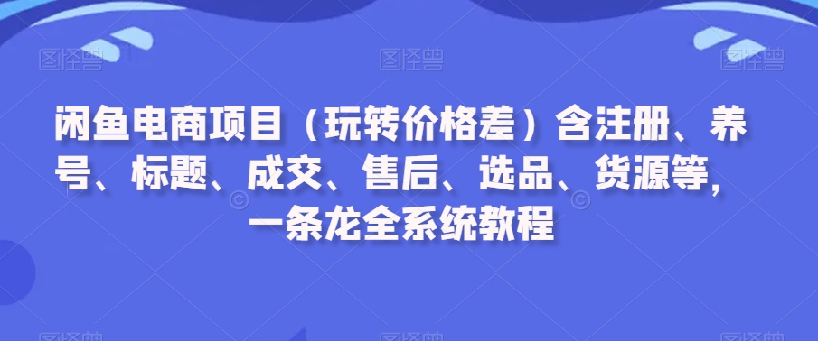 闲鱼电商项目（玩转价格差）含注册、养号、标题、成交、售后、选品、货源等，一条龙全系统教程-网创资源社