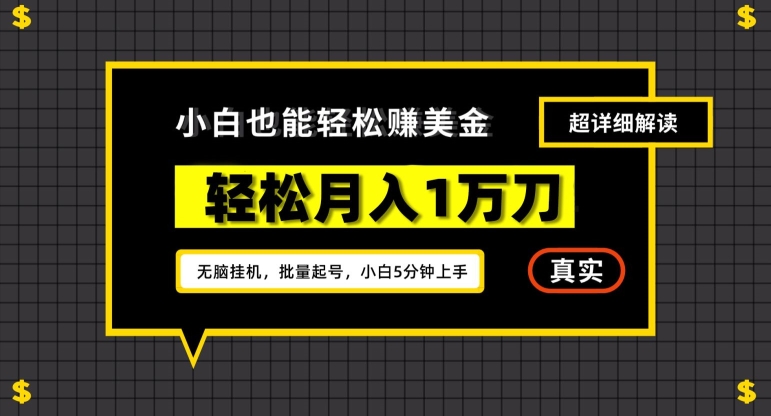 谷歌看广告撸美金2.0，无脑挂机，多号操作，月入1万刀【揭秘】-网创资源社