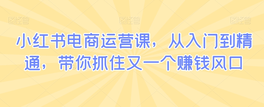 小红书电商运营课，从入门到精通，带你抓住又一个赚钱风口-网创资源社