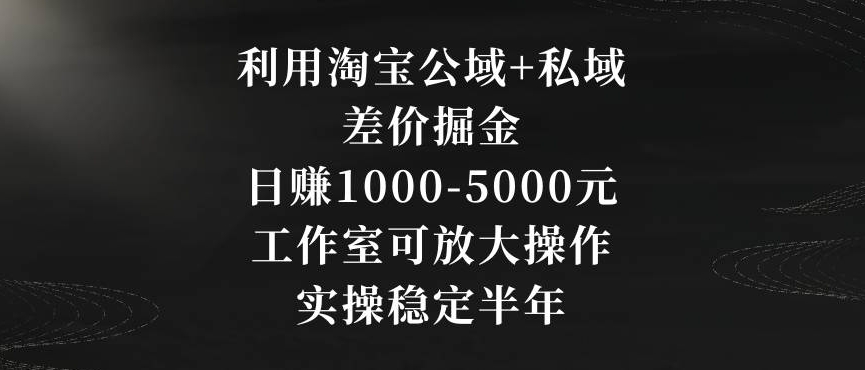 利用淘宝公域+私域差价掘金，日赚1000-5000元，工作室可放大操作，实操稳定半年【揭秘】-网创资源社