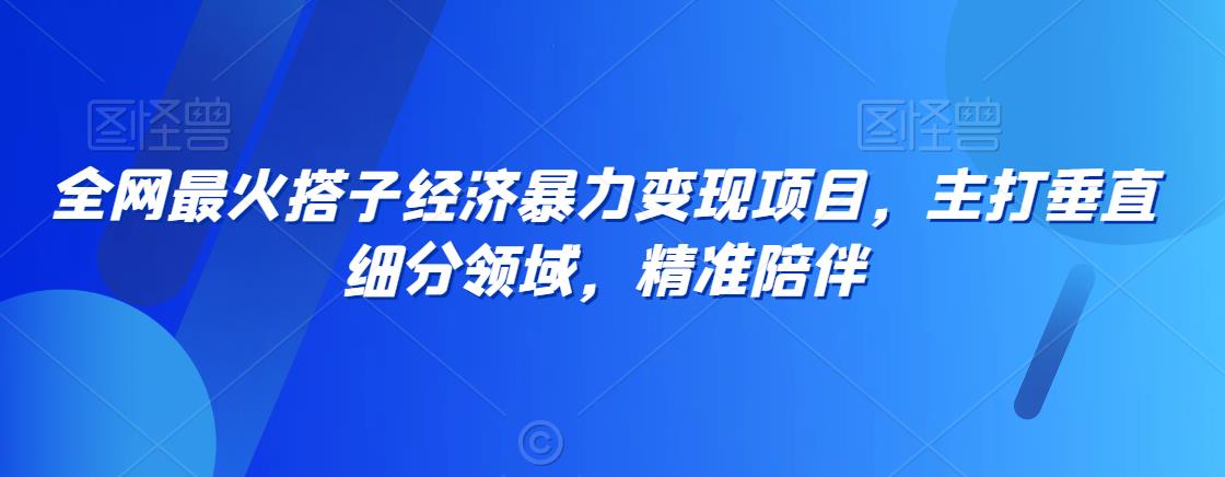 全网最火搭子经济暴力变现项目，主打垂直细分领域，精准陪伴【揭秘】-网创资源社