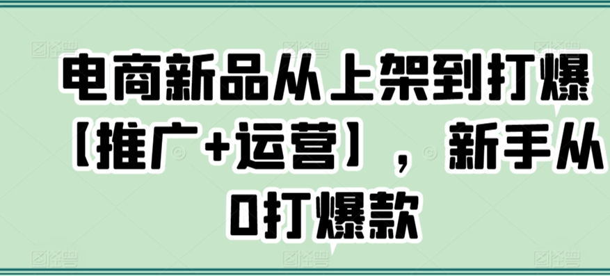 电商新品从上架到打爆【推广+运营】，新手从0打爆款-网创资源社