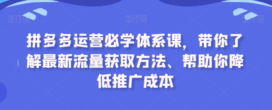 拼多多运营必学体系课，带你了解最新流量获取方法、帮助你降低推广成本-网创资源社