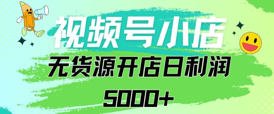 视频号无货源小店从0到1日订单量千单以上纯利润稳稳5000+【揭秘】-网创资源社