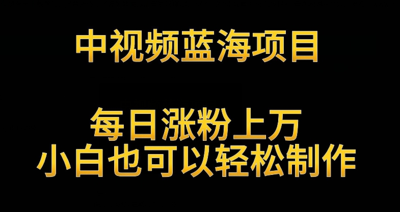 中视频蓝海项目，解读英雄人物生平，每日涨粉上万，小白也可以轻松制作，月入过万不是梦【揭秘】-网创资源社