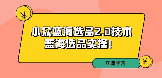 拼多多培训第33期：小众蓝海选品2.0技术-蓝海选品实操！-网创资源社