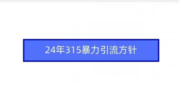 24年315暴力引流方针-网创资源社