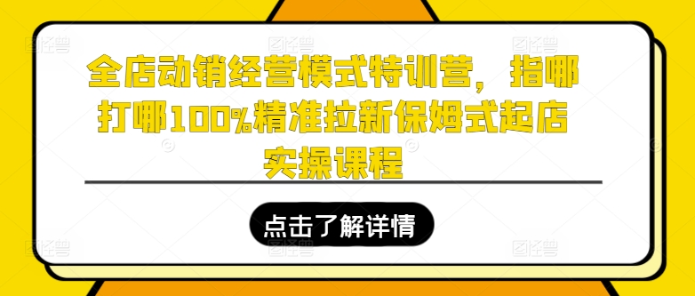 全店动销经营模式特训营，指哪打哪100%精准拉新保姆式起店实操课程-网创资源社