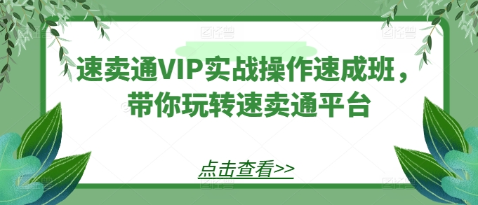 速卖通VIP实战操作速成班，带你玩转速卖通平台-网创资源社