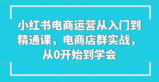 小红书电商运营从入门到精通课，电商店群实战，从0开始到学会-网创资源社