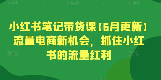 小红书笔记带货课【6月更新】流量电商新机会，抓住小红书的流量红利-网创资源社