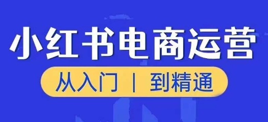 小红书电商运营课，从入门到精通，带你抓住又一个赚钱风口-网创资源社