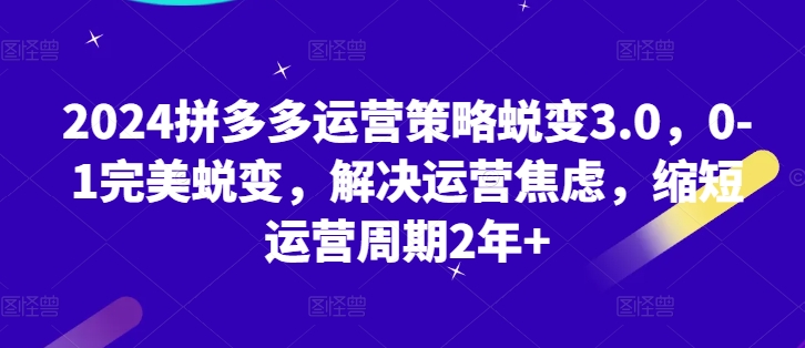 2024拼多多运营策略蜕变3.0，0-1完美蜕变，解决运营焦虑，缩短运营周期2年+-网创资源社