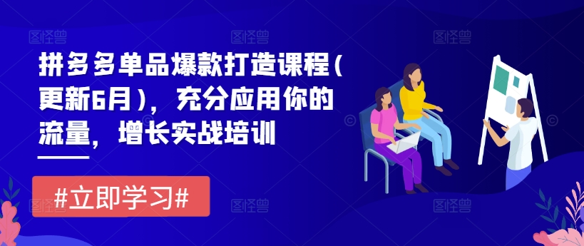 拼多多单品爆款打造课程(更新6月)，充分应用你的流量，增长实战培训-网创资源社