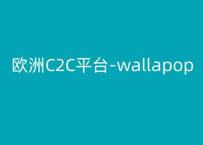 欧洲C2C平台-wallapop-kim跨境电商教程-网创资源社