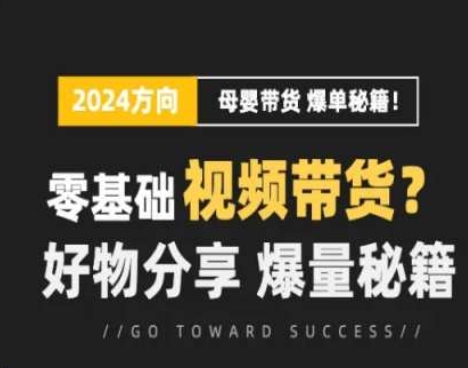 短视频母婴赛道实操流量训练营，零基础视频带货，好物分享，爆量秘籍-网创资源社