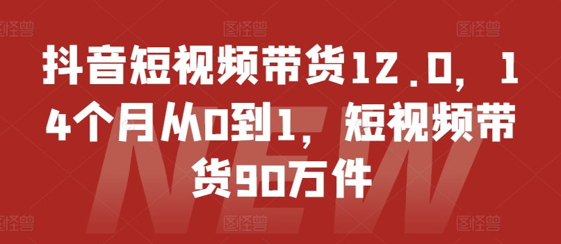 抖音短视频带货12.0，14个月从0到1，短视频带货90万件-网创资源社