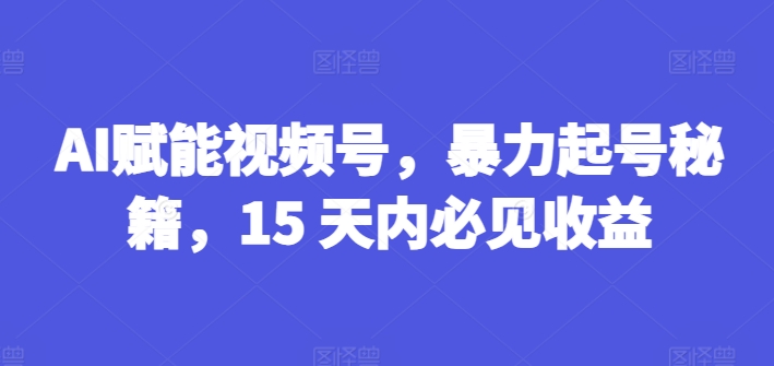 AI赋能视频号，暴力起号秘籍，15 天内必见收益【揭秘】-网创资源社