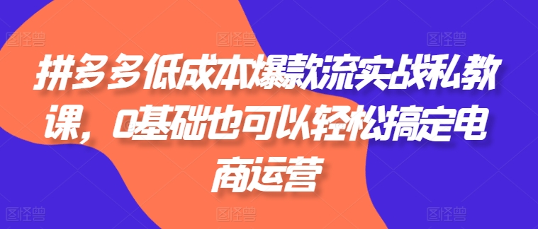 拼多多低成本爆款流实战私教课，0基础也可以轻松搞定电商运营-网创资源社