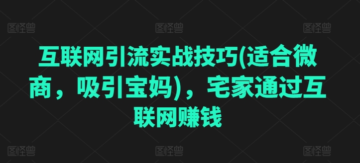 互联网引流实战技巧(适合微商，吸引宝妈)，宅家通过互联网赚钱-网创资源社