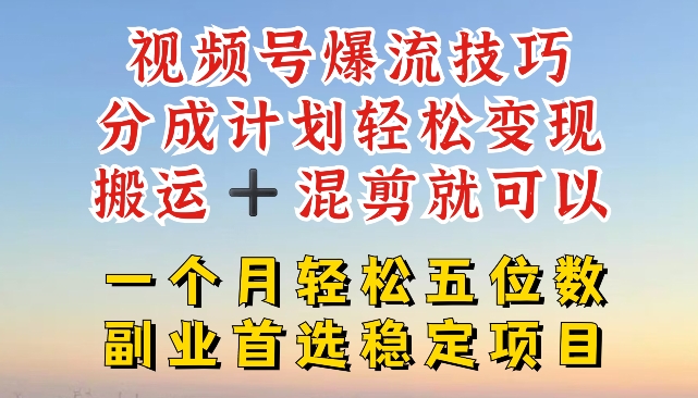 视频号爆流技巧，分成计划轻松变现，搬运 +混剪就可以，一个月轻松五位数稳定项目【揭秘】-网创资源社