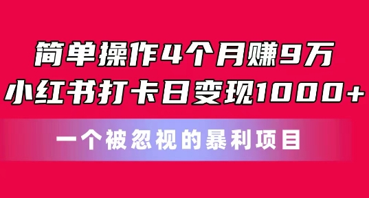 简单操作4个月赚9w，小红书打卡日变现1k，一个被忽视的暴力项目【揭秘】-网创资源社