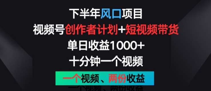 下半年风口项目，视频号创作者计划+视频带货，一个视频两份收益，十分钟一个视频【揭秘】-网创资源社