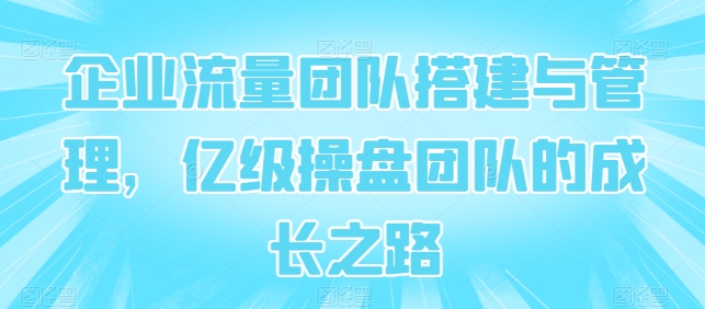 企业流量团队搭建与管理，亿级操盘团队的成长之路-网创资源社