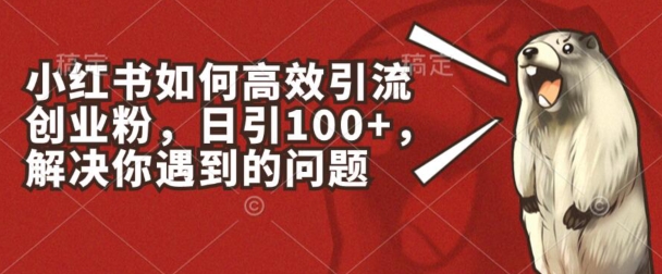 小红书如何高效引流创业粉，日引100+，解决你遇到的问题【揭秘】-网创资源社