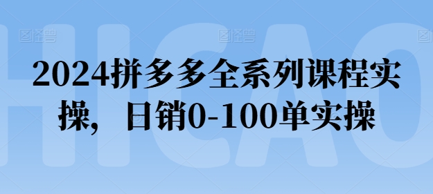 2024拼多多全系列课程实操，日销0-100单实操【必看】-网创资源社