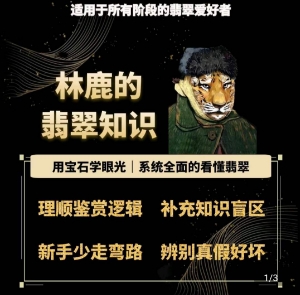 林鹿的翡翠知识，​用宝石眼光，系统全面的看懂翡翠-网创资源社