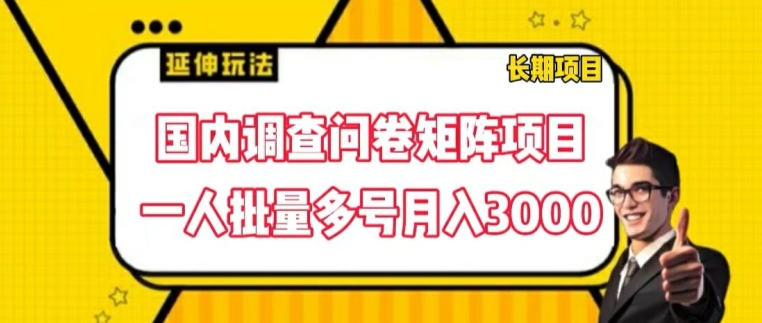 国内调查问卷矩阵项目，一人批量多号月入3000【揭秘】-网创资源社