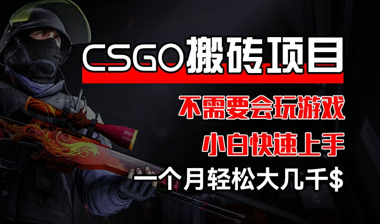 CSGO 装备搬砖项目，操作简单，不需要会玩游戏，小白也能快速上手，一个月轻松大几千【揭秘】-网创资源社