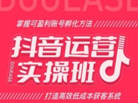 抖音运营实操班，掌握可盈利账号孵化方法，打造高效低成本获客系统-网创资源社