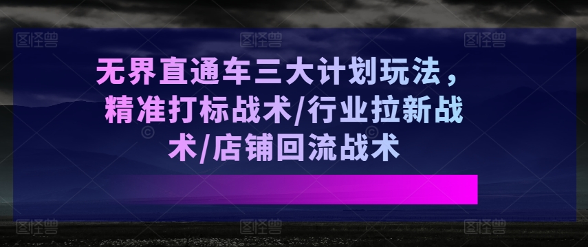 无界直通车三大计划玩法，精准打标战术/行业拉新战术/店铺回流战术-网创资源社