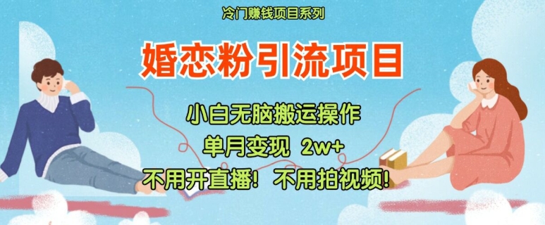 小红书婚恋粉引流，不用开直播，不用拍视频，不用做交付【揭秘】-网创资源社