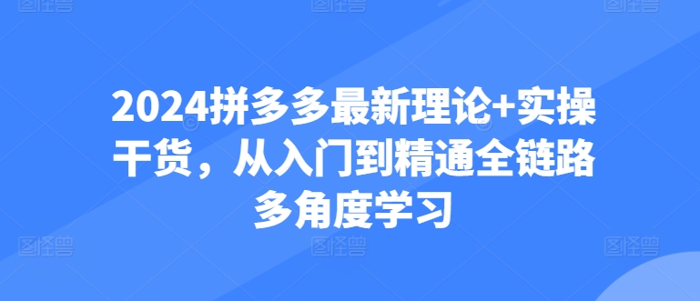 2024拼多多最新理论+实操干货，从入门到精通全链路多角度学习-网创资源社