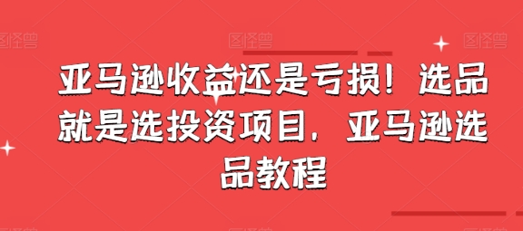 亚马逊收益还是亏损！选品就是选投资项目，亚马逊选品教程-网创资源社