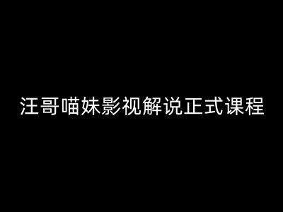 汪哥影视解说正式课程：剪映/PR教学/视解说剪辑5大黄金法则/全流程剪辑7把利器等等-网创资源社