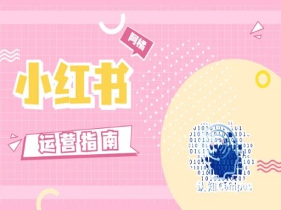 小红书运营指南，没有套路，全是经验-网创资源社