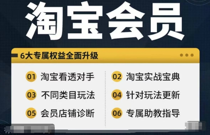 淘宝会员【淘宝所有课程，全面分析对手】，初级到高手全系实战宝典-网创资源社