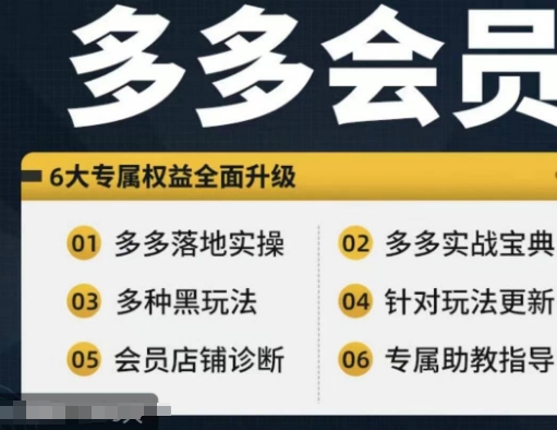 拼多多会员，拼多多实战宝典+实战落地实操，从新手到高阶内容全面覆盖-网创资源社