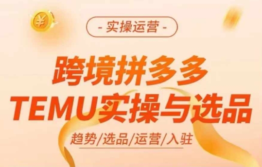 跨境拼多多TEMU实操与选品，多多temu跨境选品运营实操-网创资源社