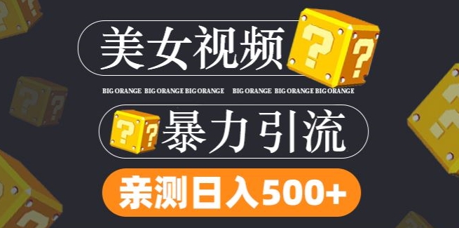 搬运tk美女视频全网分发，日引s粉300+，轻松变现，不限流量不封号【揭秘】-网创资源社