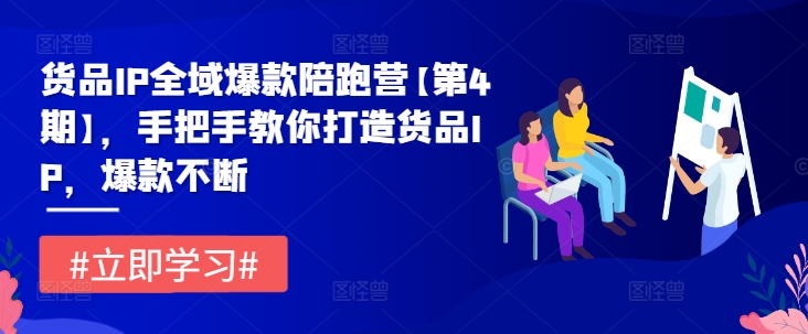 货品IP全域爆款陪跑营【第4期】，手把手教你打造货品IP，爆款不断-网创资源社