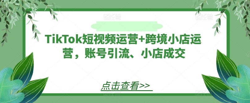 TikTok短视频运营+跨境小店运营，账号引流、小店成交-网创资源社