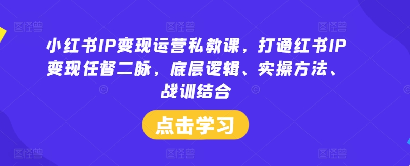 小红书IP变现运营私教课，打通红书IP变现任督二脉，底层逻辑、实操方法、战训结合-网创资源社